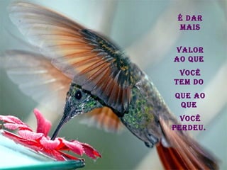 É dar mais valor ao que  você tem do  que ao que  você perdeu.   