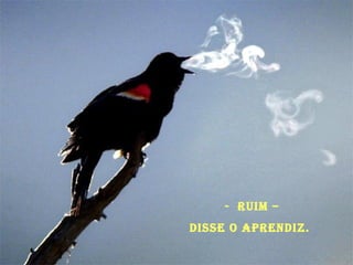 -  Ruim –  disse o aprendiz.  