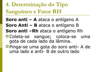 4. Determinação do Tipo
Sanguíneo e Fator RH
Soro anti – A ataca o antígeno A
Soro Anti – B ataca o antígeno B
Soro anti –Rh ataca o antígeno Rh
 Coleta-se sangue; coloca-se uma
gota de cada lado da lâmina.
 Pinga-se uma gota do soro anti- A de
uma lado e anti- B de outro lado
 