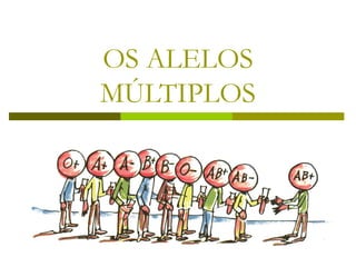 OS ALELOS
MÚLTIPLOS
 