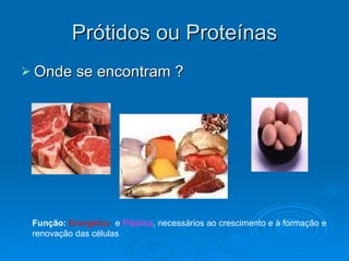 Prótidos ou Proteínas Onde se encontram ? Função:   Energético  e  Plástica , necessários ao crescimento e à formação e renovação das células 