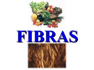 FIBRAS 