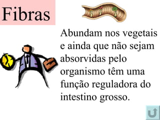 Abundam nos vegetais e ainda que não sejam absorvidas pelo organismo têm uma função reguladora do intestino grosso. Fibras 