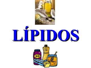 LÍPIDOS 