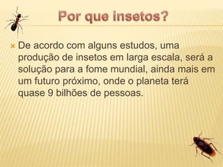  De acordo com alguns estudos, uma
produção de insetos em larga escala, será a
solução para a fome mundial, ainda mais em
um futuro próximo, onde o planeta terá
quase 9 bilhões de pessoas.