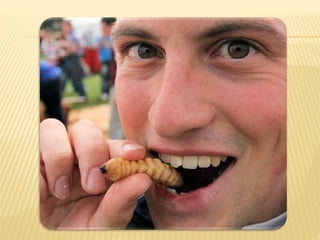 Os alimentos do futuro