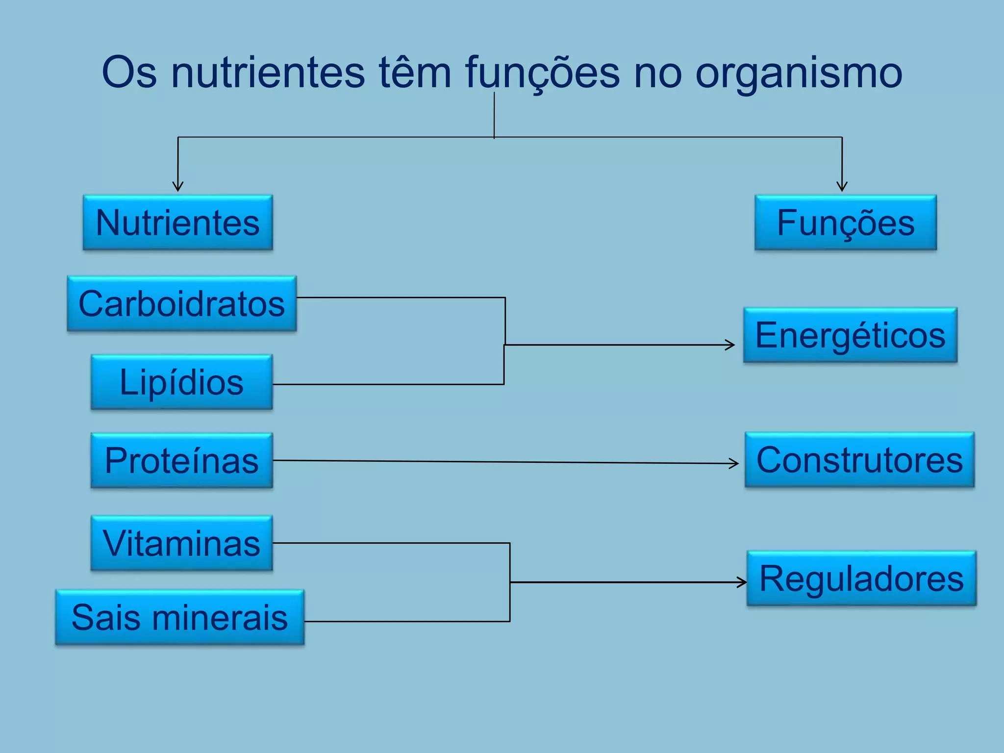 12. Os alimentos e seus nutrientes I - As funções dos alimentos e dos ...