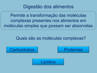 12. Os alimentos e seus nutrientes I - As funções dos alimentos e dos ...