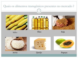 Quais os alimentos transgénicos presentes no mercado ?
Milho Óleo Soja
Arroz Queijo Papaya
7
 