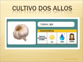 C.E.I.P. AGRO DO MUÍÑO