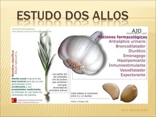 C.E.I.P. AGRO DO MUÍÑO