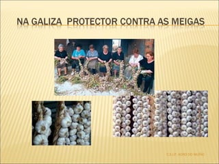 C.E.I.P. AGRO DO MUÍÑO