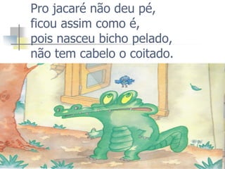 Pro jacaré não deu pé, ficou assim como é, pois nasceu bicho pelado, não tem cabelo o coitado.  