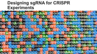 CRISPER-cas.9.pptx