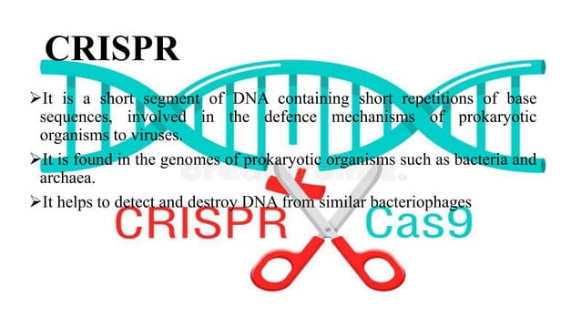 Crisper Cas 9 Pptx