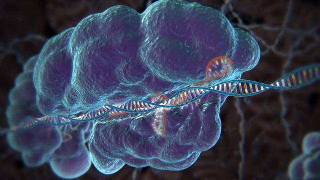 Crisper Cas 9 Pptx Free Download