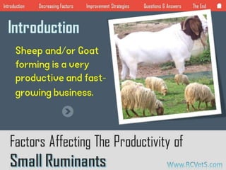 Factors Affecting the Productivity of Small Ruminants | PPTX ...
