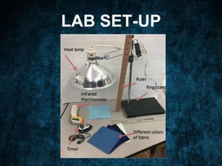 LAB SET-UP
 