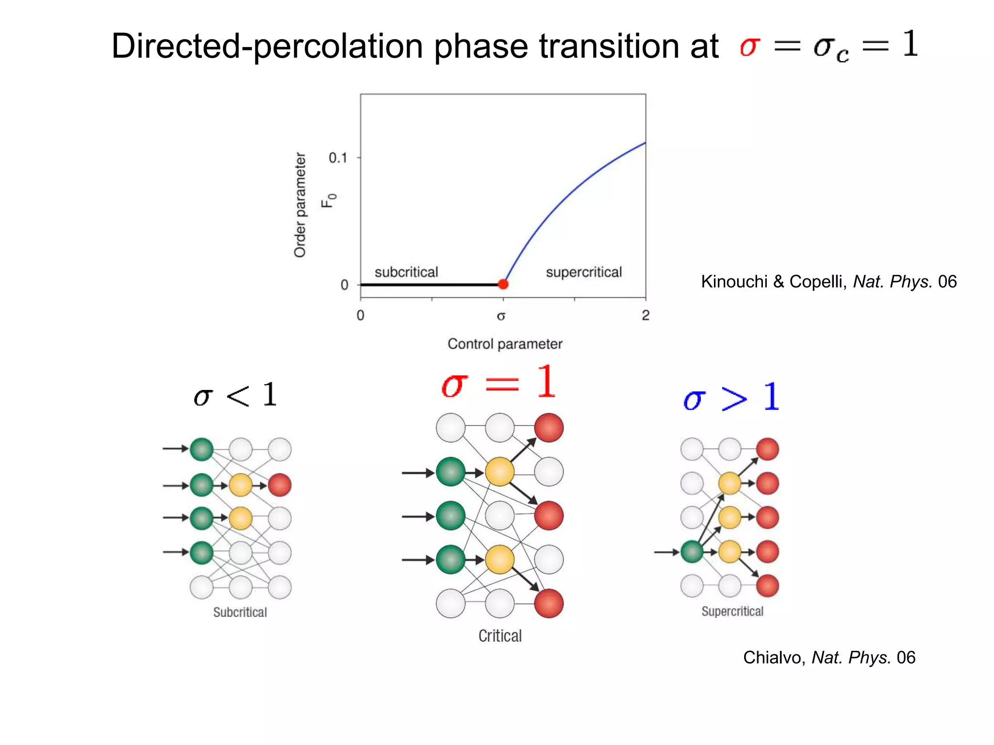 Directed-percolation phase transition at
Kinouchi & Copelli, Nat. Phys. 06
Chialvo, Nat. Phys. 06
 
