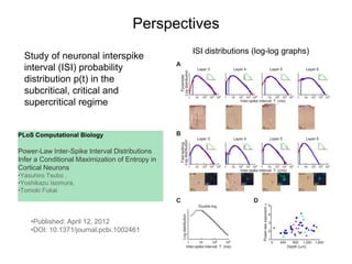 PLoS Computational Biology
Power-Law Inter-Spike Interval Distributions
Infer a Conditional Maximization of Entropy in
Cortical Neurons
•Yasuhiro Tsubo ,
•Yoshikazu Isomura,
•Tomoki Fukai
•Published: April 12, 2012
•DOI: 10.1371/journal.pcbi.1002461
Study of neuronal interspike
interval (ISI) probability
distribution p(t) in the
subcritical, critical and
supercritical regime
Perspectives
ISI distributions (log-log graphs)
 