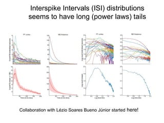 Interspike Intervals (ISI) distributions
seems to have long (power laws) tails
Collaboration with Lézio Soares Bueno Júnior started here!
 