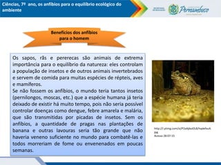 Os anfíbios para o equilíbrio ecológico do ambiente.ppt