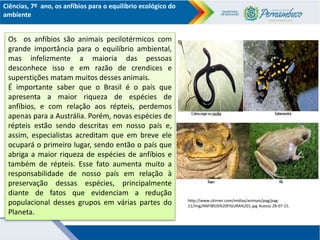 Os anfíbios para o equilíbrio ecológico do ambiente.ppt