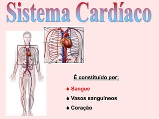 Sistema Cardíaco É constituído por: ,[object Object]