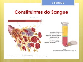 Constituintes do Sangue
o sangue
Fonte:
http://diariodebiologia.com/files/2009/11/19432.jpg
Fonte: http://4.bp.blogspot.com/-
9w6vSepVulU/TwnU57sF30I/AAAAAAAAAa4/cKE4V7xWmAc/s640/sangue_constituintes%255B1%255D+%25282%2529.jp
g
 
