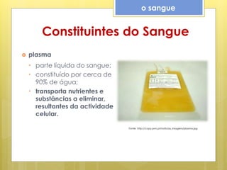 Constituintes do Sangue
 plasma
• parte líquida do sangue;
• constituído por cerca de
90% de água;
• transporta nutrientes e
substâncias a eliminar,
resultantes da actividade
celular.
o sangue
Fonte: http://copy.pnn.pt/noticias_imagens/plasma.jpg
 