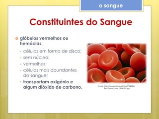 Constituintes do Sangue
 glóbulos vermelhos ou
hemácias
• células em forma de disco;
• sem núcleo;
• vermelhas;
• células mais abundantes
do sangue;
• transportam oxigénio e
algum dióxido de carbono.
o sangue
Fonte: http://boasnoticias.pt/img/P242306-
Red_blood_cells,_SEM-SPL.jpg
 