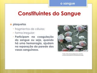 Constituintes do Sangue
 plaquetas
• fragmentos de células;
• forma irregular;
• Participam na coagulação
do sangue ou seja, quando
há uma hemorragia, ajudam
na reparação da parede dos
vasos sanguíneos.
o sangue
Fonte: http://www.infoescola.com/wp-
content/uploads/2010/02/plaquetas.jpg
 