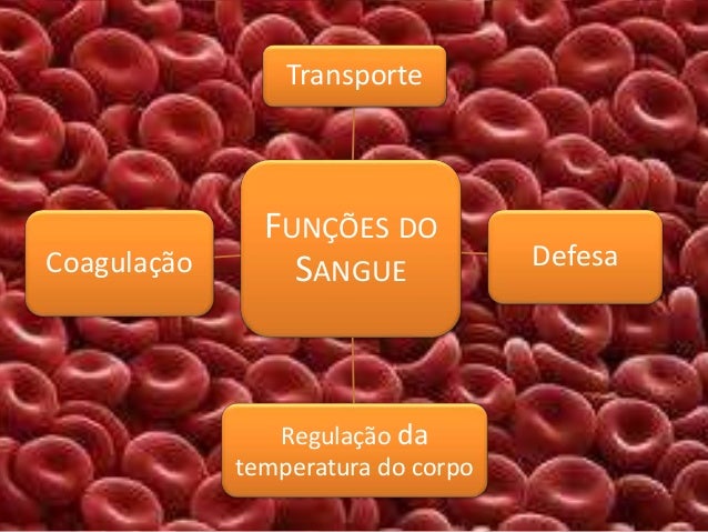 O Sangue