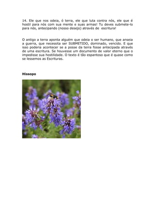 14. Ele que nos odeia, ó terra, ele que luta contra nós, ele que é
hostil para nós com sua mente e suas armas! Tu deves submete-lo
para nós, antecipando (nosso desejo) através de escritura!
O antigo a terra aponta alguém que odeia o ser humano, que anseia
a guerra, que necessita ser SUBMETIDO, dominado, vencido. E que
isso poderia acontecer se a posse da terra fosse antecipada através
de uma escritura. Se houvesse um documento de valor eterno que o
impedisse sua hostilidade. O texto é tão espantoso que é quase como
se lessemos as Escrituras.
Hissopo
 