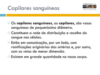 Capilares sanguíneos Os  capilares sanguíneos , ou  capilares , são vasos sanguíneos de pequeníssimo diâmetro.  Constituem a rede de distribuição e recolha do sangue nas células.  Estão em comunicação, por um lado, com ramificações originárias das artérias e, por outro, com as veias de menor dimensão.  Existem em grande quantidade no nosso corpo. 