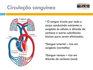 Circulação sanguínea O sangue circula por todo o corpo conduzindo nutrientes e oxigénio às células e dióxido de carbono e outras substâncias tóxicas para serem eliminadas.  Sangue arterial – rico em oxigénio (vermelho) Sangue venoso – rico em dióxido de carbono (azul)  
