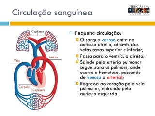 Circulação sanguínea Pequena circulação: O sangue  venoso  entra na aurícula direita, através das veias cavas superior e inferior; Passa para o ventrículo direito; Saindo pela artéria pulmonar segue para os pulmões, onde ocorre a hematose, passando de  venoso  a  arterial ; Regressa ao coração pela veia pulmonar, entrando pela aurícula esquerda. 