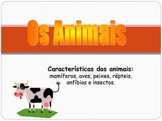 Características dos animais:
mamíferos, aves, peixes, répteis,
anfíbios e insectos.
 