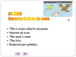  Têm o corpo coberto de penas.
 Nascem de ovos.
 Têm asas e voam.
 Têm bico.
 Respiram por pulmões.
 