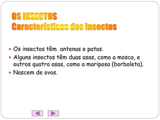  Os insectos têm antenas e patas.
 Alguns insectos têm duas asas, como a mosca, e
outros quatro asas, como a mariposa (borboleta).
 Nascem de ovos.
 