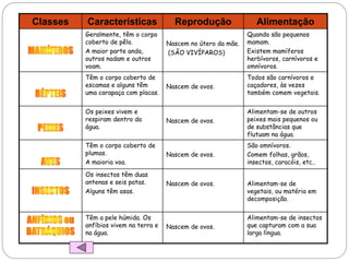 Classes Características Reprodução Alimentação
Geralmente, têm o corpo
coberto de pêlo.
A maior parte anda,
outros nadam e outros
voam.
Nascem no útero da mãe.
(SÃO VIVÍPAROS)
Quando são pequenos
mamam.
Existem mamíferos
herbívoros, carnívoros e
omnívoros.
Têm o corpo coberto de
escamas e alguns têm
uma carapaça com placas.
Nascem de ovos.
Todos são carnívoros e
caçadores, às vezes
também comem vegetais.
Os peixes vivem e
respiram dentro da
água.
Nascem de ovos.
Alimentam-se de outros
peixes mais pequenos ou
de substâncias que
flutuam na água.
Têm o corpo coberto de
plumas.
A maioria voa.
Nascem de ovos.
São omnívoros.
Comem folhas, grãos,
insectos, caracóis, etc..
Os insectos têm duas
antenas e seis patas.
Alguns têm asas.
Nascem de ovos. Alimentam-se de
vegetais, ou matéria em
decomposição.
Têm a pele húmida. Os
anfíbios vivem na terra e
na água.
Nascem de ovos.
Alimentam-se de insectos
que capturam com a sua
larga língua.
 