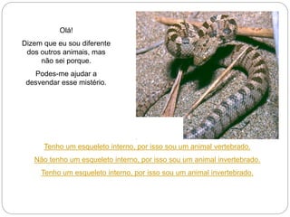 Olá!
Dizem que eu sou diferente
dos outros animais, mas
não sei porque.
Podes-me ajudar a
desvendar esse mistério.
Tenho um esqueleto interno, por isso sou um animal vertebrado.
Não tenho um esqueleto interno, por isso sou um animal invertebrado.
Tenho um esqueleto interno, por isso sou um animal invertebrado.
 