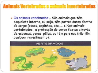  Os animais vertebrados – São animais que têm
esqueleto interno, ou seja, têm partes duras dentro
do corpo (ossos, espinhas, etc.…. ). Nos animais
vertebrados, a protecção do corpo faz-se através
de escamas, penas, pêlos, ou têm pele nua (não têm
qualquer revestimento).
 