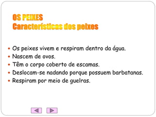  Os peixes vivem e respiram dentro da água.
 Nascem de ovos.
 Têm o corpo coberto de escamas.
 Deslocam-se nadando porque possuem barbatanas.
 Respiram por meio de guelras.
 