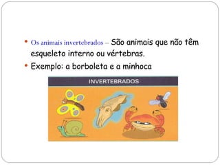 Os animais invertebrados  –  São animais que não têm esqueleto interno ou vértebras. Exemplo: a borboleta e a minhoca 