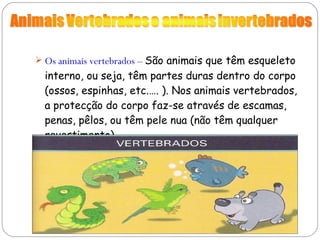 Os animais vertebrados  –  São animais que têm esqueleto interno, ou seja, têm partes duras dentro do corpo (ossos, espinhas, etc.…. ). Nos animais vertebrados,  a protecção do corpo faz-se através de escamas, penas, pêlos, ou têm pele nua (não têm qualquer revestimento).  