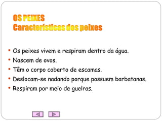 Os peixes vivem e respiram dentro da água. Nascem de ovos. Têm o corpo coberto de escamas. Deslocam-se nadando porque possuem barbatanas. Respiram por meio de guelras. 