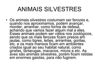 ANIMAIS SILVESTRES Os animais silvestres costumam ser ferozes e, quando nos aproximamos, podem avançar, morder, arranhar, como forma de defesa, achando que vamos fazer algum mal a eles. Esses animais podem ser vistos nos zoológicos, sendo que os mais ferozes ficam presos em jaulas, como tigres, leões, ariranhas, gorilas, etc. e os mais mansos ficam em ambientes criados igual ao seu habitat natural, como girafas, tartarugas, macacos, micos e etc. As aves são animais silvestres, porém ficam retidas em enormes gaiolas, para não fugirem. 