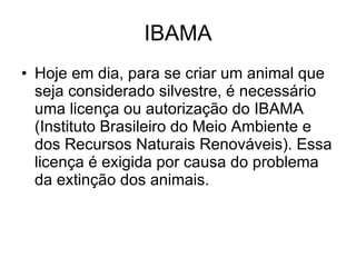 IBAMA Hoje em dia, para se criar um animal que seja considerado silvestre, é necessário uma licença ou autorização do IBAMA (Instituto Brasileiro do Meio Ambiente e dos Recursos Naturais Renováveis). Essa licença é exigida por causa do problema da extinção dos animais.  