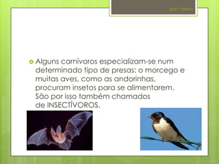 prof.ª Helena




 Algunscarnívoros especializam-se num
 determinado tipo de presas: o morcego e
 muitas aves, como as andorinhas,
 procuram insetos para se alimentarem.
 São por isso também chamados
 de INSECTÍVOROS.
 